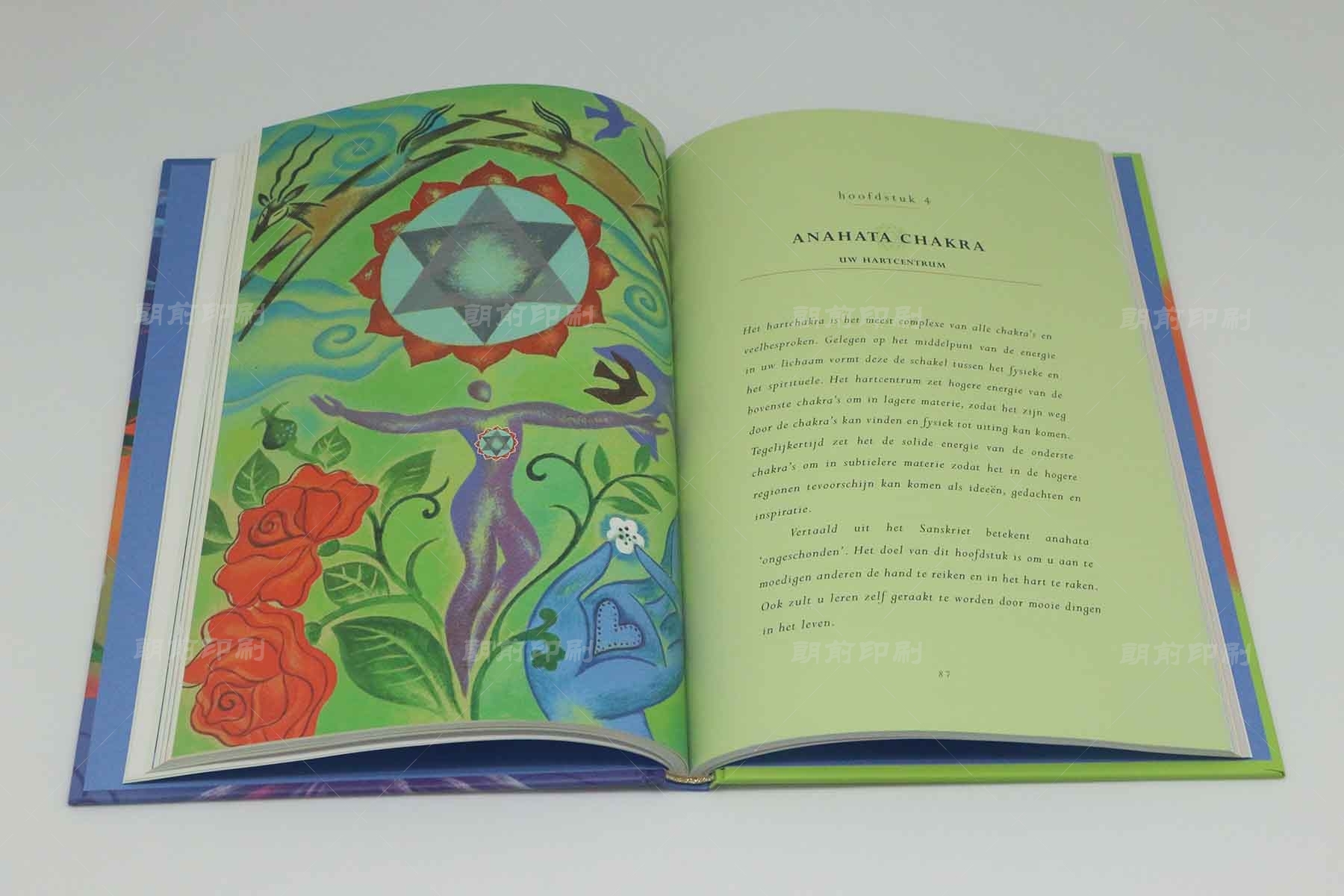 廣州印刷設計 廣州印刷創意畫冊設計制作