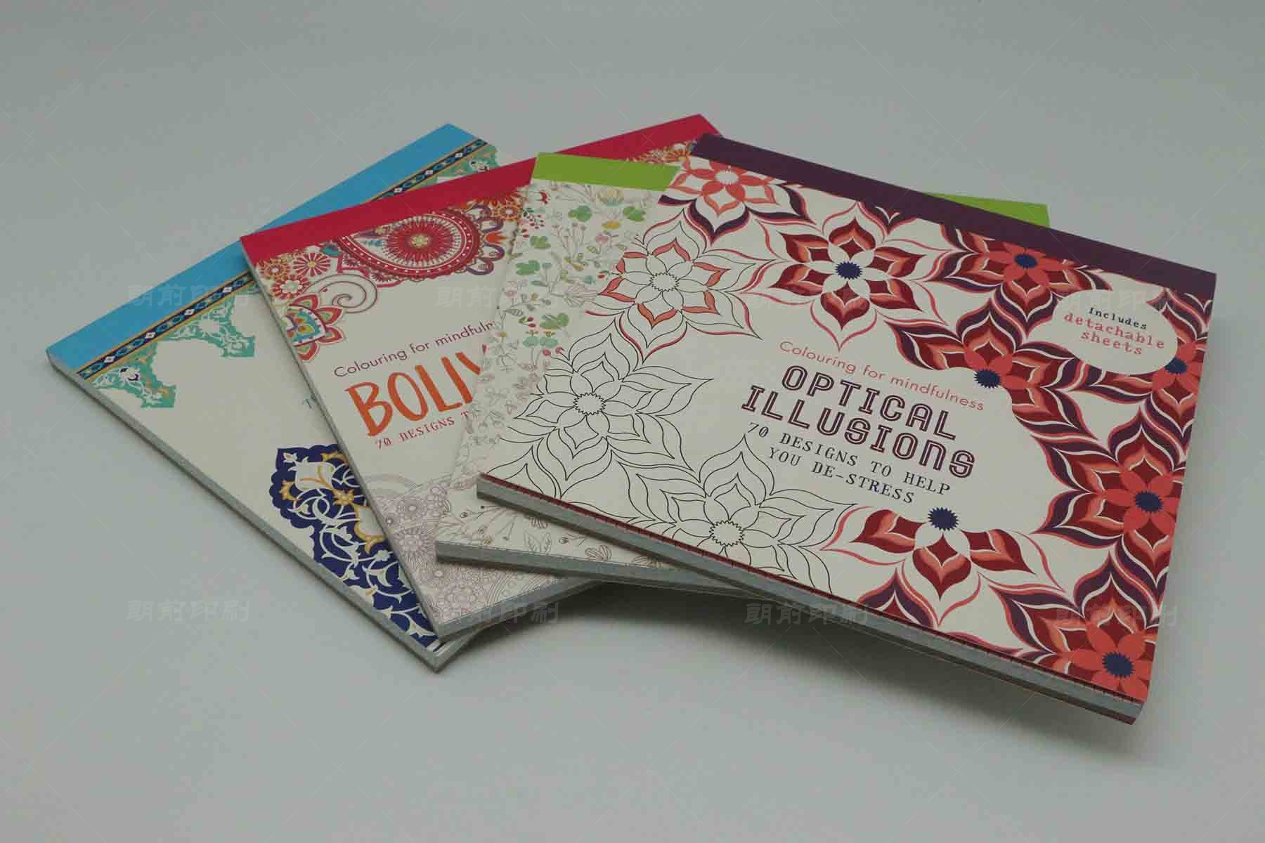 廣州企業(yè)企業(yè)畫冊設計印刷 廣州精裝畫冊印刷廠家