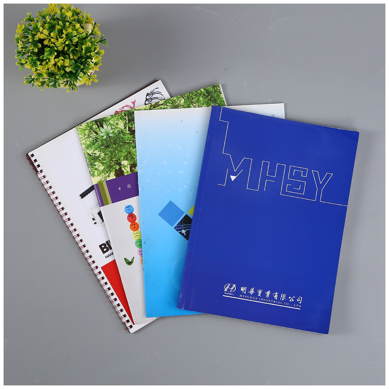 廣州企業(yè)畫冊(cè)印刷 廣州專業(yè)企業(yè)畫冊(cè)設(shè)計(jì)印刷