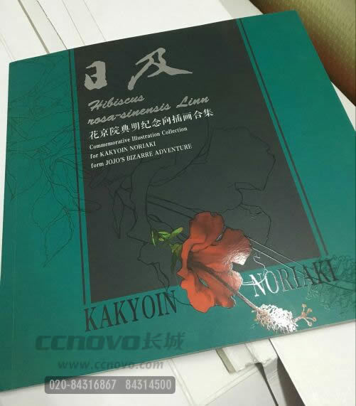 畫冊(cè)設(shè)計(jì)局部uv效果圖